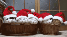 メリークリスマス 猫 ネコ ねこ GIF - Cat Basket Christmas GIFs