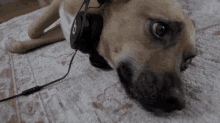 αρης Dog GIF - αρης Dog Headset GIFs