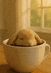 a small rabbit is sleeping in a white cup