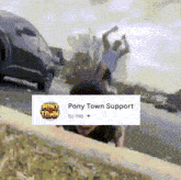a pony town support to me is displayed on a pixelated screen