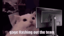 Flashbang Gage GIF - Flashbang Gage GIFs