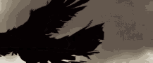 [Image: crow.gif]