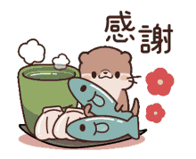 otter cook