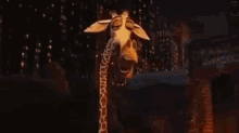 Melman Madagascar GIF - Melman Madagascar Giraffe GIFs