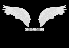 Saint Gaming Wings GIF - Saint Gaming Wings Gamers GIFs