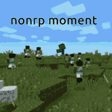 Nonrp Moment GIF - Nonrp Moment GIFs