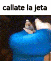 a cat is sitting on top of a blue container with the words callate la jeta above it .