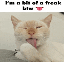 a cat sticking its tongue out with the words i 'm a bit of a freak btw below it