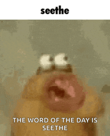 a picture of a cat with the words " seethe the word of the day is seethe "