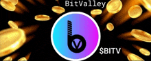 Bitvalley Bitv GIF - Bitvalley Bitv Crypto GIFs