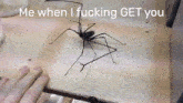Me When I Fucking Get You Whipspider GIF - Me When I Fucking Get You Whipspider Threat GIFs