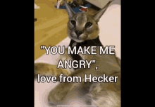 Hecker Beluga Heckler GIF