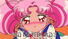 ขอให้ได้ ได้โปรด พลีส ขอร้อง GIF - Sailor Moon Chibiusa Please GIFs