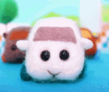 Puipui天竺鼠車車 Puipuiモルカー GIF
