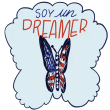dreamer soy