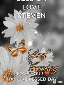 good morning flowers butterflies i love you have a blessed day