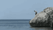 Sea Fail GIF - Sea Fail Jump GIFs