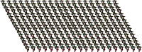 a bunch of flowers are lined up in a row on a white background