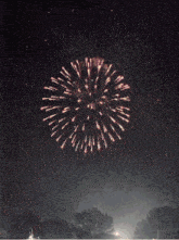 Fireworks Fireworks Gif GIF