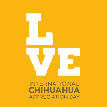 international chihuahua appreciation day dog day appreciation day chihuahua day international appreciation day