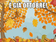 Ottobre è Già Ottobre Autunno Foglie GIF - October Already Fall Leaves GIFs