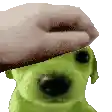 a person is petting a green dog wearing a beret .
