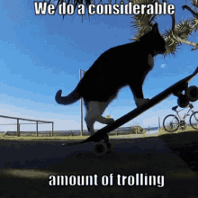Cat Troll GIF - Cat Troll Trolling GIFs