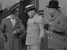 The Three Stooges Curly GIF - The Three Stooges Curly At First You Dont Succeed GIFs
