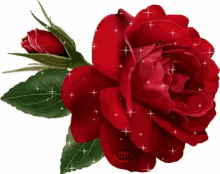 rose flower glittery for you i love you