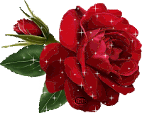 Rose Flower Sticker - Rose Flower Glittery Stickers