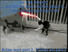 Cat Vs Dogs In The Pound Claw Wars Part2 GIF