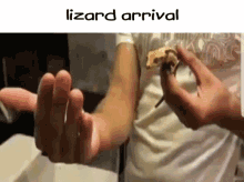 Lizard Jump GIF - Lizard Jump Gecko GIFs