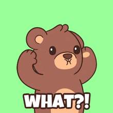 a brown teddy bear with a cloud on his head and the words what on the bottom