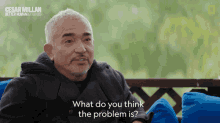 What Do You Think The Problem Is Cesar Millan GIF