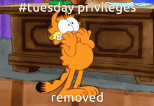 Tuesday Garfield GIF - Tuesday Garfield Tuesday Privileges GIFs