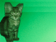 Michi Meme GIF - Michi Meme Gatos GIFs