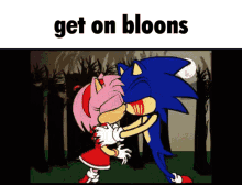 Get On Bloons Sonic GIF - Get On Bloons Sonic Sonic Exe GIFs