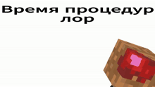 a couple of minecraft characters standing next to each other with the words " время процедур lop " written above them