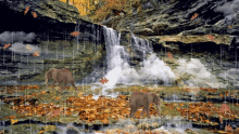 leaves waterfall