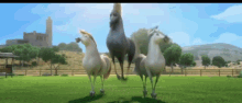 Horse Dance GIF