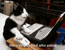 Cat Computer GIF - Cat Computer Who Asked GIFs