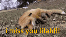 Lilah I Miss You GIF - Lilah I Miss You I Miss You Lilah GIFs