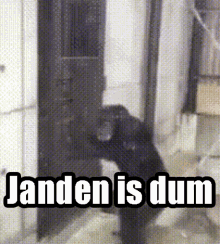 Janden Is Dum Monkey GIF - Janden Is Dum Monkey Animal GIFs