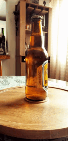 Artesanal De Bebidas Beer GIF