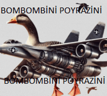 a picture of a duck flying on top of a jet with the words bombombini poyrazini written on the bottom
