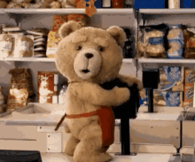 teddy bear humping ted hump dancing