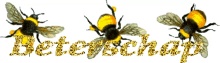 beterschap get well soon bees honey bee well wishes