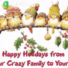 Happy Holidays From Our Crazy Family To Yours Gifkaro GIF