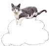 Cats Cloud Sticker - Cats Cloud Up In The Air Stickers