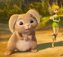 Tinkerbell Friends GIF